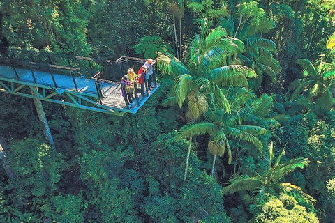 Tamborine Mountain Daily Service, Treetop Challenge And Thunderbird Park - Accommodation 4U 12