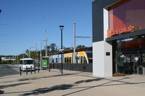 Tamborine Mountain Daily Service, Treetop Challenge And Thunderbird Park - Accommodation 4U 2