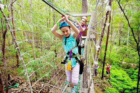 Tamborine Mountain Daily Service, Treetop Challenge And Thunderbird Park - Accommodation 4U 4