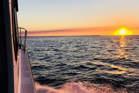 Hervey Bay Whale Swim And Watch - Accommodation 4U 7