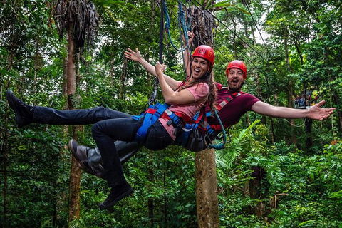Daintree Atttractions Pass: The Best Of The Daintree In A Day - Accommodation 4U 1