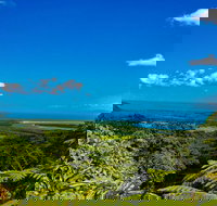 Cape Tribulation Day Tour - Accommodation 4U