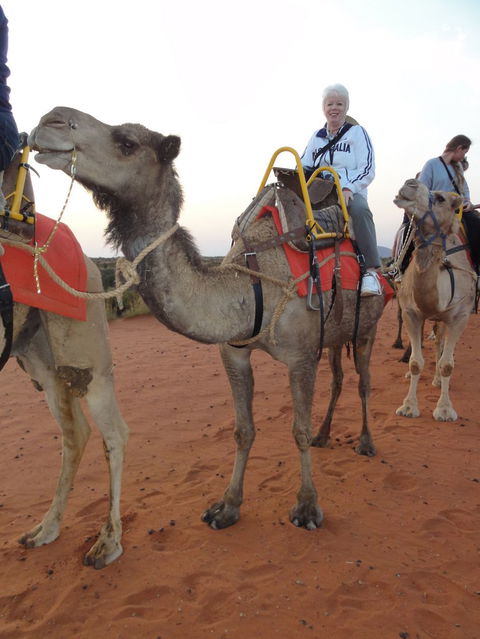 Uluru Small-Group Tour By Camel At Sunrise Or Sunset - Accommodation 4U 2