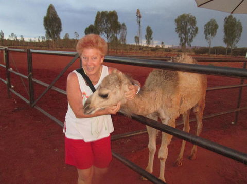Uluru Small-Group Tour By Camel At Sunrise Or Sunset - Accommodation 4U 18