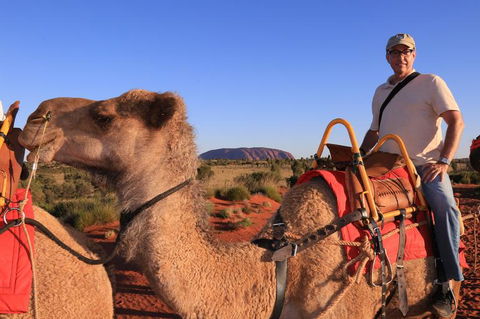 Uluru Small-Group Tour By Camel At Sunrise Or Sunset - Accommodation 4U 4