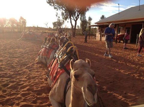 Uluru Small-Group Tour By Camel At Sunrise Or Sunset - Accommodation 4U 22