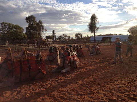Uluru Small-Group Tour By Camel At Sunrise Or Sunset - Accommodation 4U 23
