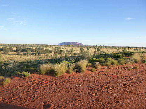 Uluru Small-Group Tour By Camel At Sunrise Or Sunset - Accommodation 4U 9