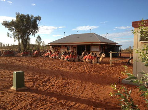 Uluru Small-Group Tour By Camel At Sunrise Or Sunset - Accommodation 4U 19