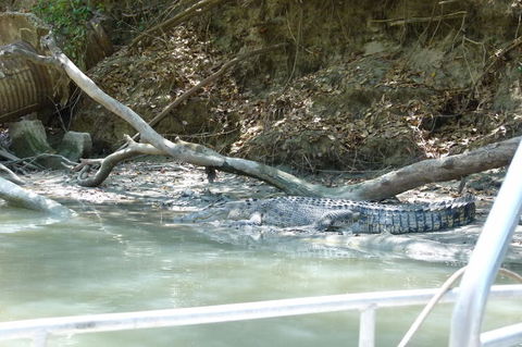 Kakadu Full-Day Tour From Darwin With Lunch - Accommodation 4U 2