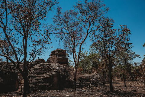 Kakadu Full-Day Tour From Darwin With Lunch - Accommodation 4U 6
