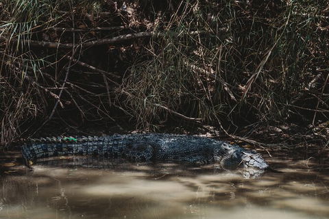 Kakadu Full-Day Tour From Darwin With Lunch - Accommodation 4U 13