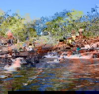 Litchfield and Jumping Crocodiles Full Day Trip from Darwin - Accommodation 4U