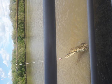 Darwin Jumping Crocodiles Cruise On Adelaide River - Accommodation 4U 3