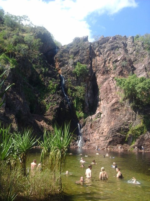 Litchfield National Park Day Tour From Darwin - Accommodation 4U 6