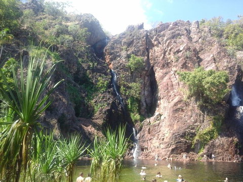 Litchfield National Park Day Tour From Darwin - Accommodation 4U 7