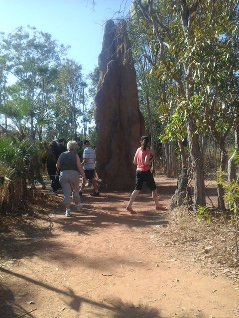 Litchfield National Park Day Tour From Darwin - Accommodation 4U 14
