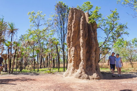 Litchfield National Park Day Tour From Darwin - Accommodation 4U 22