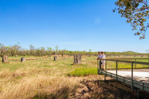 Litchfield National Park Day Tour From Darwin - Accommodation 4U 18