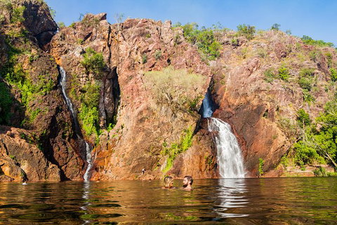 Litchfield National Park Day Tour From Darwin - Accommodation 4U 15