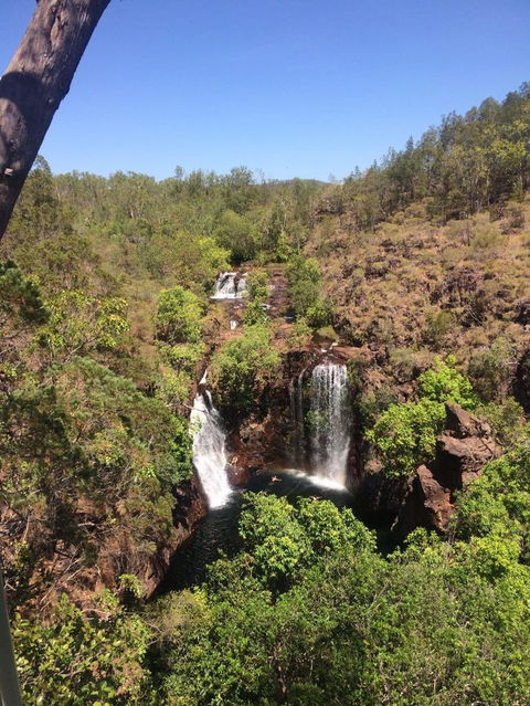 Small-Group Litchfield National Park Day Trip From Darwin - Accommodation 4U 4