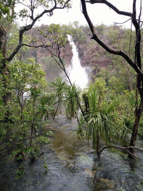 Small-Group Litchfield National Park Day Trip From Darwin - Accommodation 4U 6