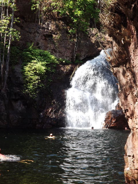 Small-Group Litchfield National Park Day Trip From Darwin - Accommodation 4U 13