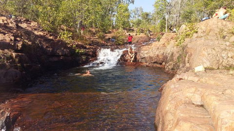 Small-Group Litchfield National Park Day Trip From Darwin - Accommodation 4U 12