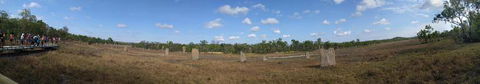 Small-Group Litchfield National Park Day Trip From Darwin - Accommodation 4U 10