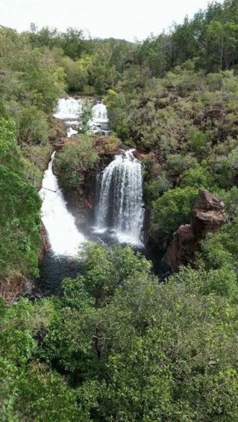 Small-Group Litchfield National Park Day Trip From Darwin - Accommodation 4U 7