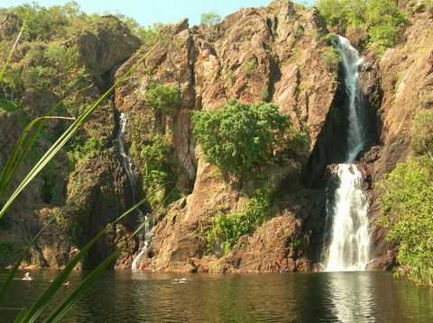 Small-Group Litchfield National Park Day Trip From Darwin - Accommodation 4U 15