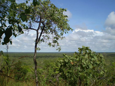 Small-Group Litchfield National Park Day Trip From Darwin - Accommodation 4U 8