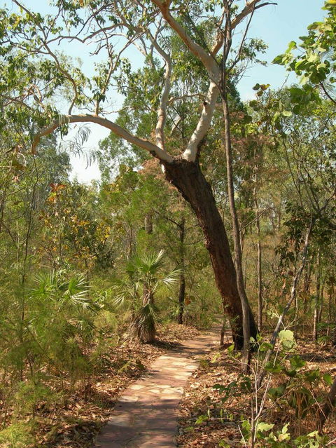 Small-Group Litchfield National Park Day Trip From Darwin - Accommodation 4U 14