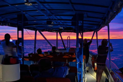 Darwin Sunset Cruise, Including Fish \'n\' Chips - Accommodation 4U 9