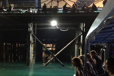 Darwin Sunset Cruise, Including Fish \'n\' Chips - Accommodation 4U 8