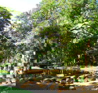 Darwin Afternoon Sightseeing Tour - Accommodation 4U