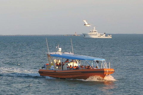 1-Hour Darwin Harbour Highlights Cruise - Accommodation 4U 0