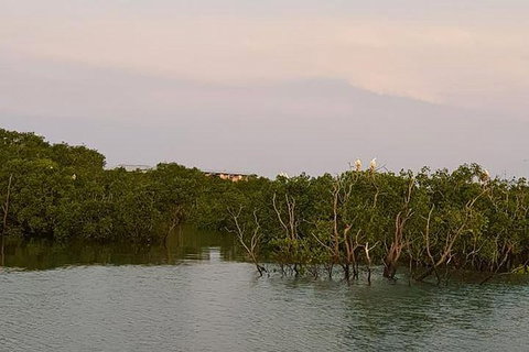 1-Hour Darwin Harbour Highlights Cruise - Accommodation 4U 7