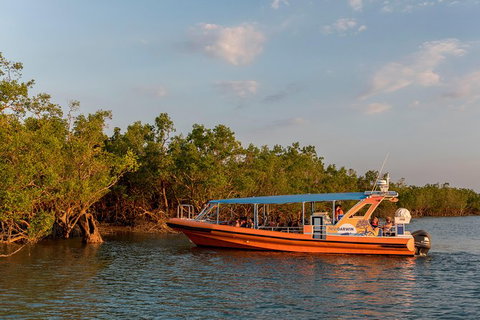 1-Hour Darwin Harbour Highlights Cruise - Accommodation 4U 3