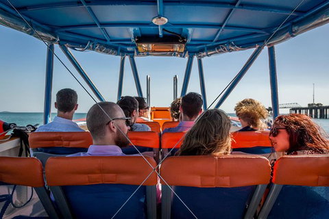 1-Hour Darwin Harbour Highlights Cruise - Accommodation 4U 6