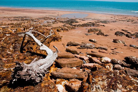 Darwin Hop-on Hop-off Bus Tour - Accommodation 4U 5