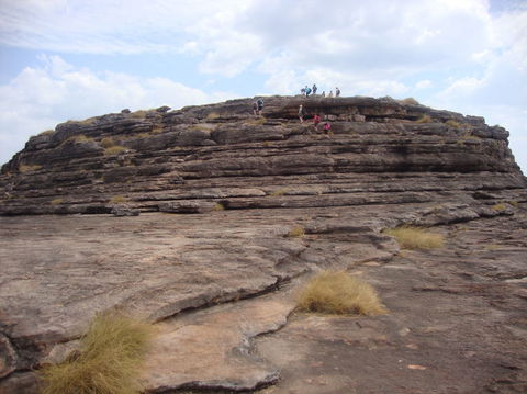 3 Day 4WD Dragonfly Dreaming Top End Safari - Accommodation 4U 4
