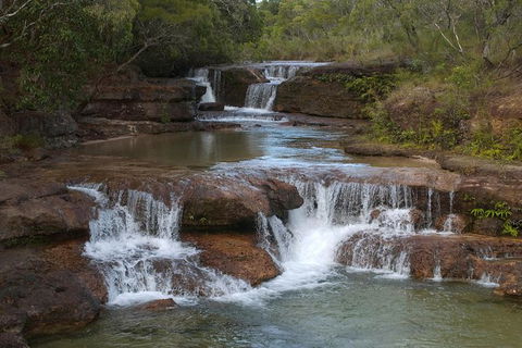 3 Day 4WD Dragonfly Dreaming Top End Safari - Accommodation 4U 0