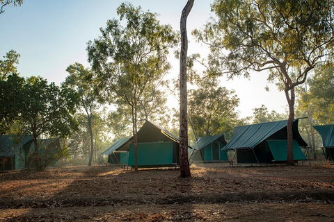 3 Day 4WD Dragonfly Dreaming Top End Safari - Accommodation 4U 14