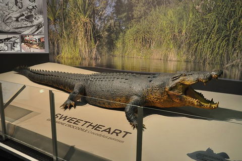 Explore Darwin City Sights Including Key Attractions - Accommodation 4U 7