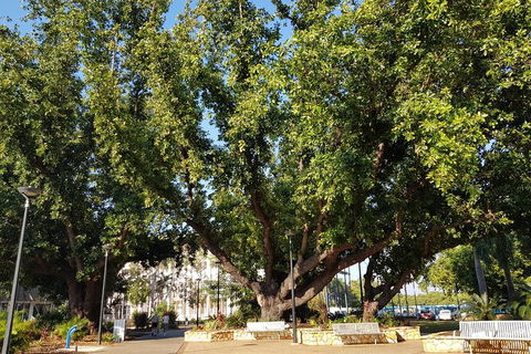 Darwin Heritage Walk - Accommodation 4U 4