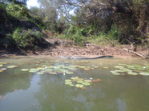 3-Day Kakadu National Park And Arnhem Land Explorer Tour From Darwin - Accommodation 4U 23