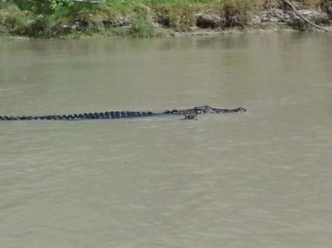 3-Day Kakadu National Park And Arnhem Land Explorer Tour From Darwin - Accommodation 4U 7