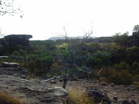 3-Day Kakadu National Park And Arnhem Land Explorer Tour From Darwin - Accommodation 4U 14