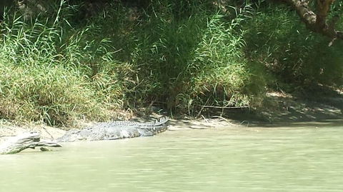 3-Day Kakadu National Park And Waterfalls Tour From Darwin - Accommodation 4U 2